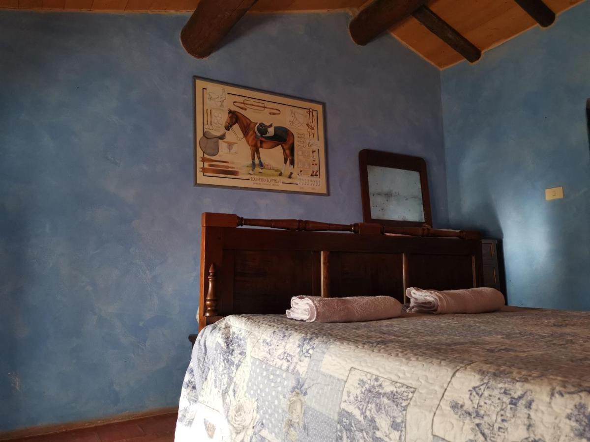 Bed and Breakfast Daina Bianca Solignano Exterior foto