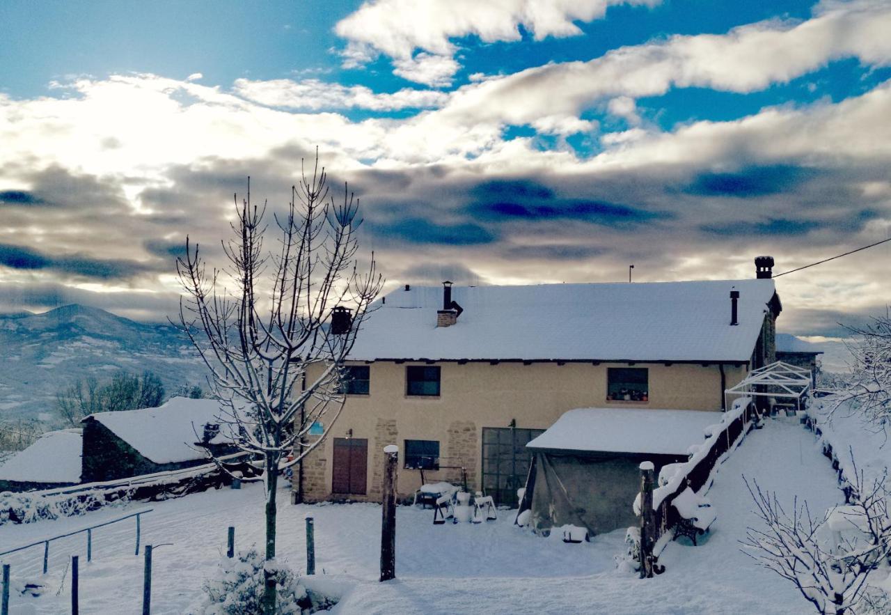 Bed and Breakfast Daina Bianca Solignano Exterior foto